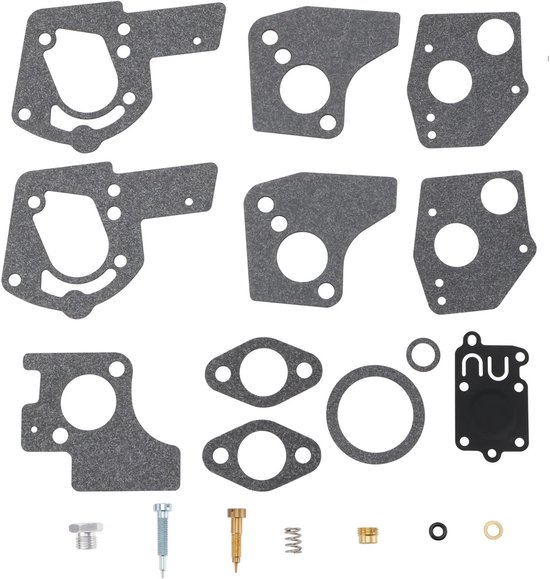 Dailygoods- Carburateur Reparatieset Compleet - Compatibel met Briggs/Stratton - Inclusief Gereedschappen - Voor Grasmaaier - Oplossing voor Lekken/Ruw Stationair Draaien