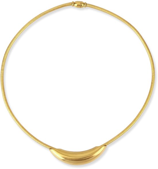 Dailygoods- Chokerketting Gouden Gebogen Buisvormig - Roestvrij Staal - Statement Ketting - Sieraden voor Dames - 44,5 cm Omtrek - Creatief Ontwerp