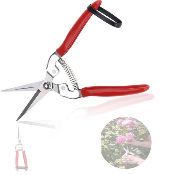 Dailygoods- Plantenschaar - Snoeischaar - Takkenschaar - Oogstschaar - Voor Tuin/Bonsai - Geschikt voor Planten/Bloemen/Rozen