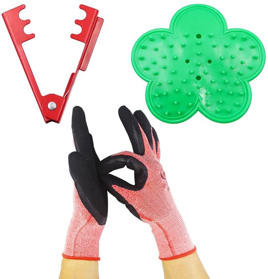 Dailygoods- Snoeischaar - Doornverwijderingsset - Tuinhandschoenen