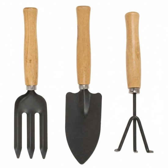 Dailygoods- Tuinapparaten Set van 3 - Hark/Schep/Vork - Houten Handgrepen - Geanodiseerd Metaal - Voor Balkon/Verhoogd Bloembed - Tuingereedschap