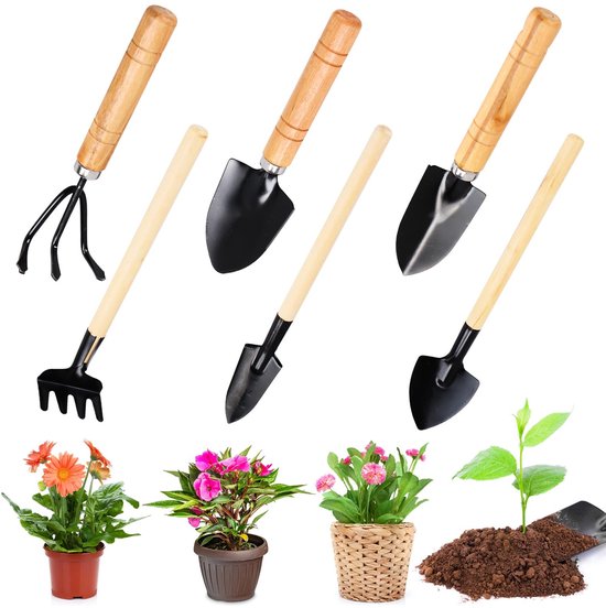 Dailygoods- Tuingereedschapset 6-delig - Kleine Tuinschop - Mini Tuingereedschap - Aarde Losmaken - Planten Verplanten - Ideaal voor Beperkte Ruimtes