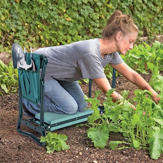 Dailygoods- Tuingereedschapstas Grote Capaciteit - Opbergtas voor Gereedschap - Draagbaar - Slijtvaste Stof - 600D Oxford - Meerdere Vakken