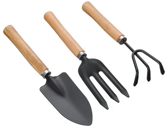 Dailygoods- Tuinieren Tool Set Mini - 2x Hark/Spade/Schep - Lichtgewicht - Roestvrij Staal - Massief Houten Handvat - Voor Indoor/Outdoor Gebruik - Tuingereedschap