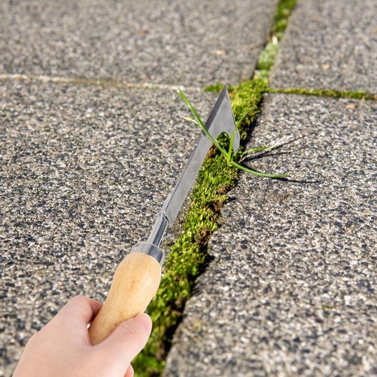 Dailygoods - Voegenschraper, onkruidsteker van roestvrij staal, houten handvat, roestvrijstalen kop met maat, onkruidsteker voor het verwijderen van onkruid, planten van groenten, bloemen, graven, snoeien en snijden van Dailygoods