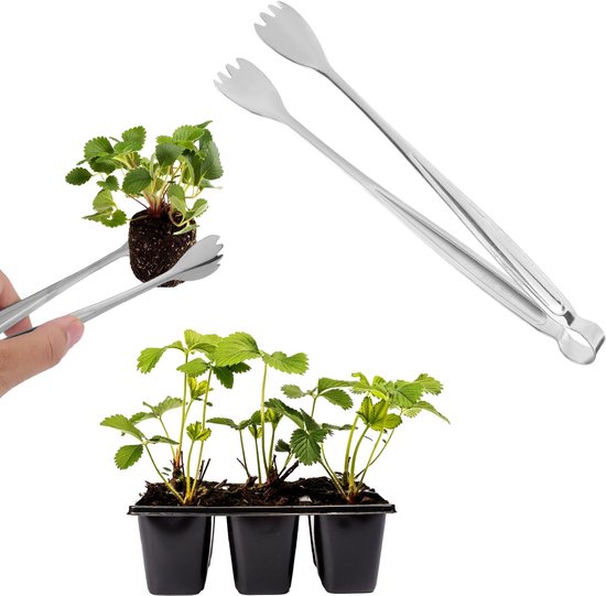 Dailygoods- Zaailingverplantingstang 20,5 cm - Roestvrij Staal - Tuinbenodigdheden - 2 Stuks - Vermindert Wortelschade - Efficiënte Transplantatie - Plantenverplantingstang