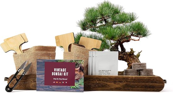 DailySupplies® Bonsai Starters Kit - Boompje Inclusief Gereedschap - Schaar - Zaden van Merkloos	