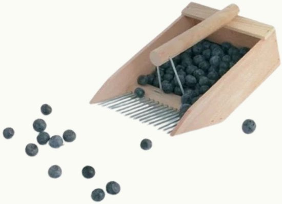 De Wiltfang Bosbessenplukker van Merkloos	