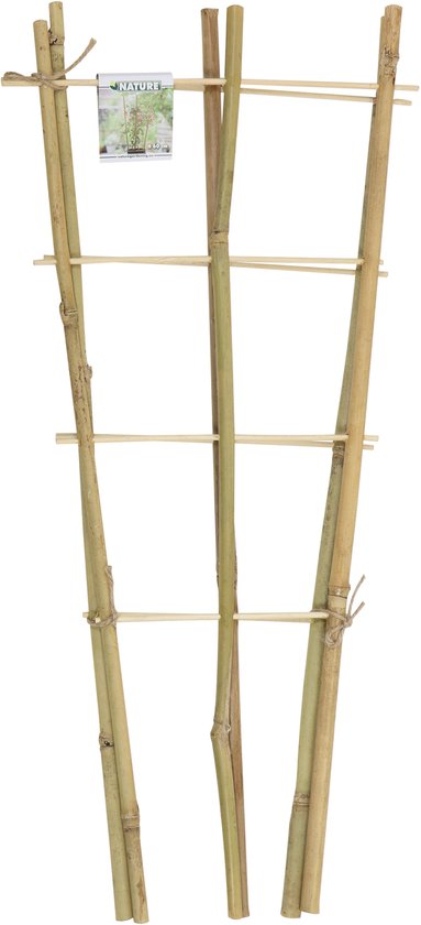 Driesprong collection - Bamboeplantrekje h60b24 cm s2st