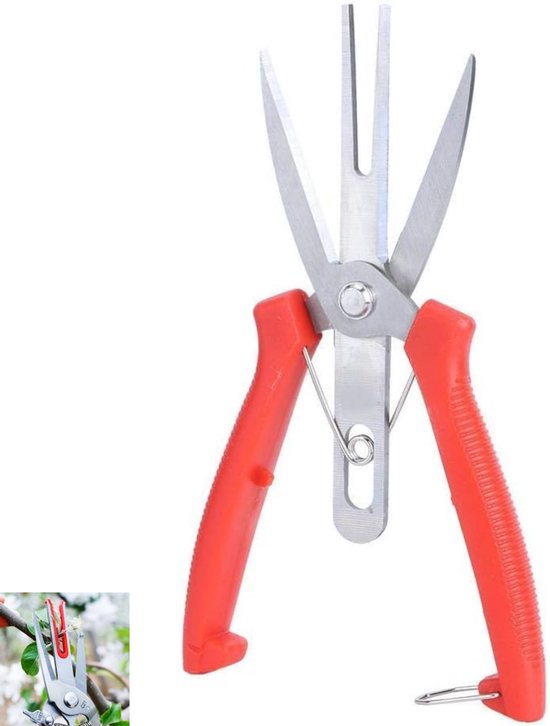 Dubbelsnijdende Tuinschaar - Multifunctionele Snoeischaar -voor Tuin, Fruitbomen en Landbouw - 19.5×6cm - rood