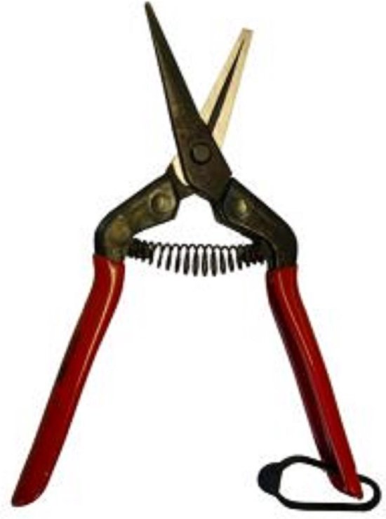 Dunschaar Chikamasa | recht model rood van Chikamasa