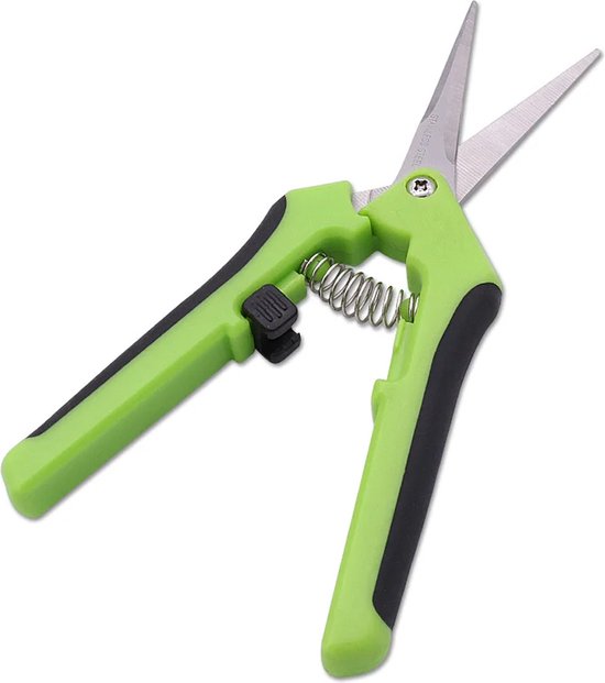 DW4Trading RVS Snoeischaar Fruitschaar 16 cm Recht - Groen - Bloemen van DW