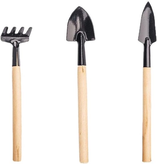 E-Ambar - 3-delige Mini Tuingereedschap Set voor Indoor Planten - Ijzeren Schop, Troffel en Hark - Handgereedschap voor Succulenten en Bonsai Tuinieren