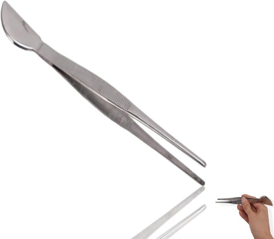 E-Ambar - Roestvrij Stalen Bonsai Gereedschap Pincet - Tuinieren Tweezer met Lange Steel - Planten Vetplanten Onderhoud