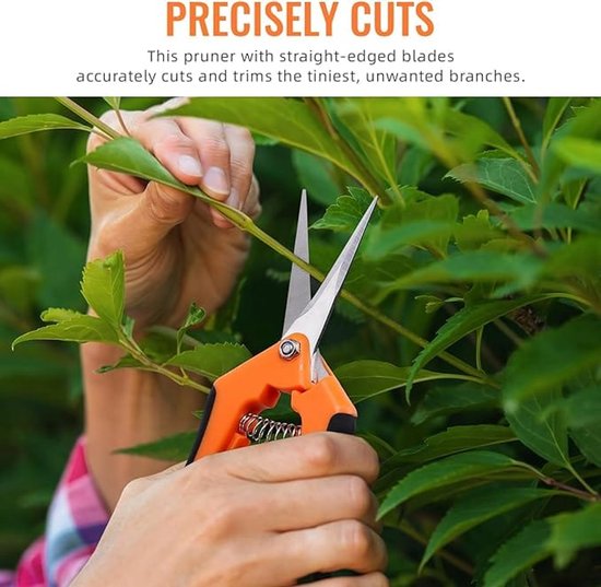 Een set van vier snoeischaren van 16,5 cm, handzame tuinscharen, met nauwkeurige, rechte roestvrijstalen bladen. van Merkloos	