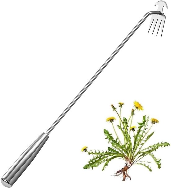 Effectieve hand onkruidsteker voor eenvoudig onkruid verwijderen, tuingereedschap met stevige steel en voegenkrabber voor een verzorgde tuin
