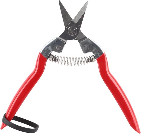 EGoods - Professionele handsnoeischaar voor tuinieren en bloemschikken met gebogen mes van Merkloos	