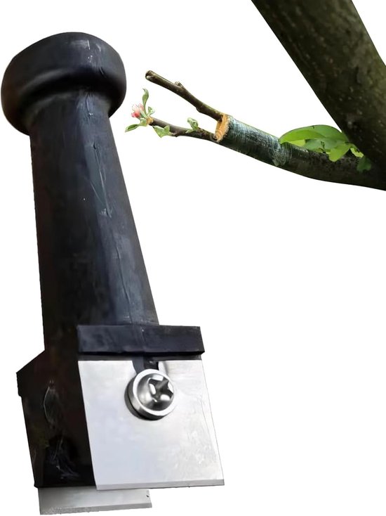 Entgereedschap Fruitbomen - Tuinsnoeigereedschap Snoei - Planten Enten Snoeien - Zuivere Scherpe Snede