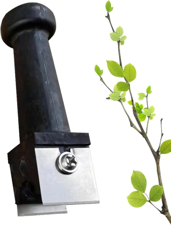 Entgereedschap Fruitboom - Planten Snijder - Tuin Verfraaien - Dubbele Plat Snijder - 13.4 cm Lengte - Zwart