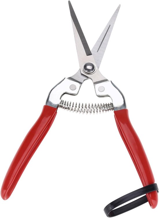 Famanu - Tuinroos Snoeischaar Schaar Professionele Hand Snoeiers Rechte/Gebogen Bladen Roestvrij Staal Snoeischaar Bloemschikken Plant Trimmen Fruit Oogsten van Merkloos	