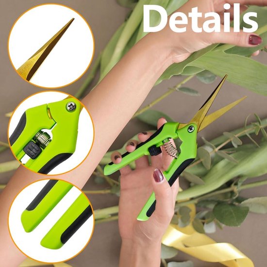 Famanu - Tuinschaar Oogstschaar met Gebogen Titanium Gecoate Bladen, Snoeischaar, Plantenschaar voor Tuin, Bonsai, Bloemen, Planten, Oogst, Fruit, Boeket, Rozenschaar (Gebogen+Titanium) van Merkloos	