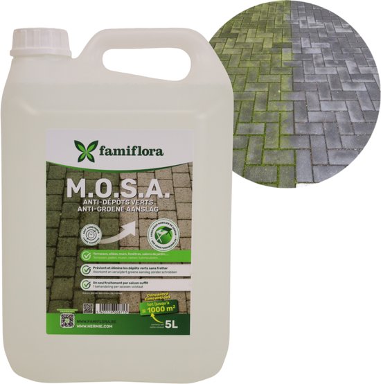 Famiflora MOSA anti-groene aanslag 5 liter - Reinigt alle oppervlakten - Makkelijk te gebruiken - Kleurloos van Merkloos	