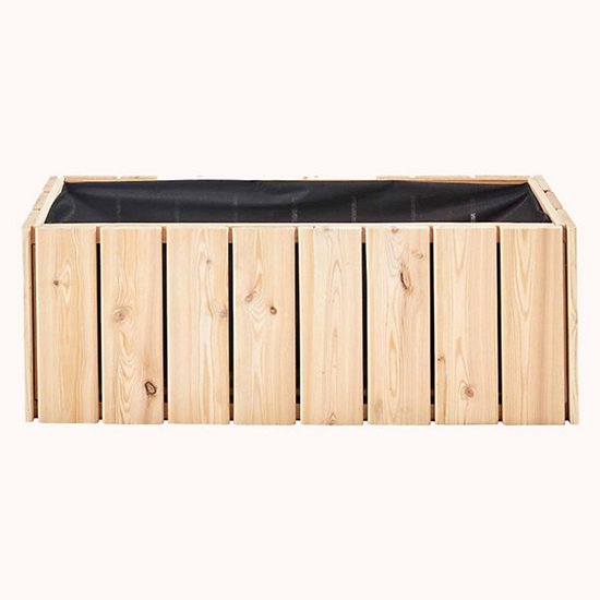 FOREST STYLE 005519