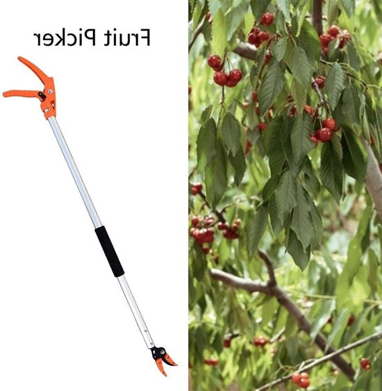 Fruitplukker Lange Steel - Telescopische Snoeischaar Tuinschaar - Fruit Plukken Snoeien - Lichtgewicht Aluminium - 100 cm - Zilver