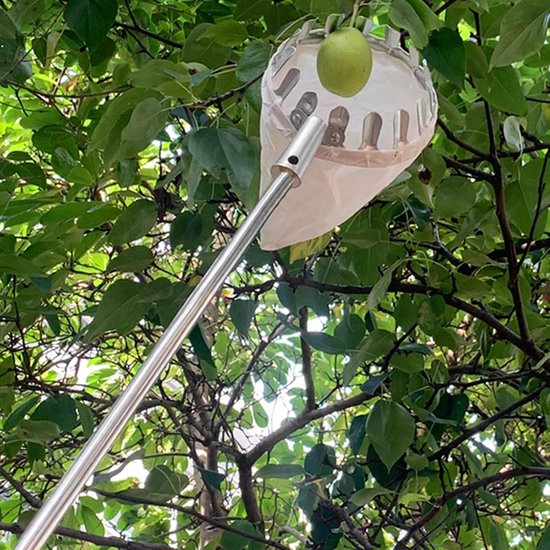 Fruitplukker Telescopisch - Fruitverzamelaar Lange Steel - Fruit Oogsten - Verstelbare Lengte - Tot 10 Meter - Geel