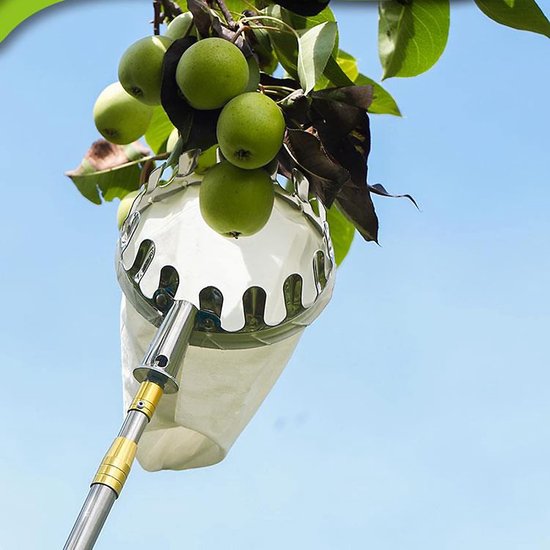 Fruitplukker Uitschuifbaar - Fruitvanger Gereedschap - Fruit Oogsten - Roestvrijstalen Mand - 2.5 Meter - Zilver
