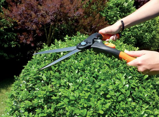 Garten PRIMUS vervangveer voor grote buxusschaar van Merkloos	