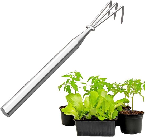 Gazonhark Lange Steel - Tuingereedschap Hark - Onkruid Wieden - Roestvrij Staal - 3 Klauwen - Metaal