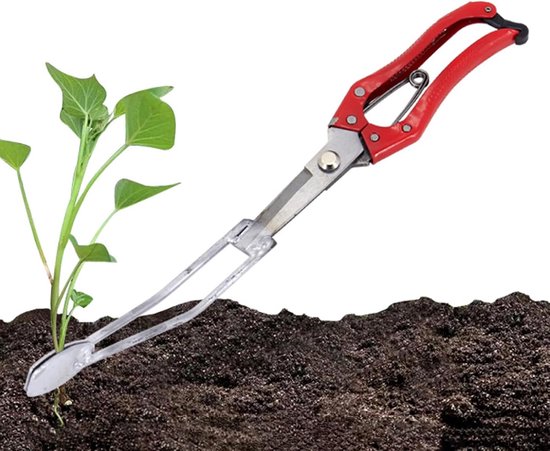 Gereedschap voor het planten van zoete aardappelen, handpons, plantgereedschap, terras, balkon, gemeenschap, stadslandbouw, accessoires voor het kweken van groenten in potten, 35,5 cm van Merkloos	