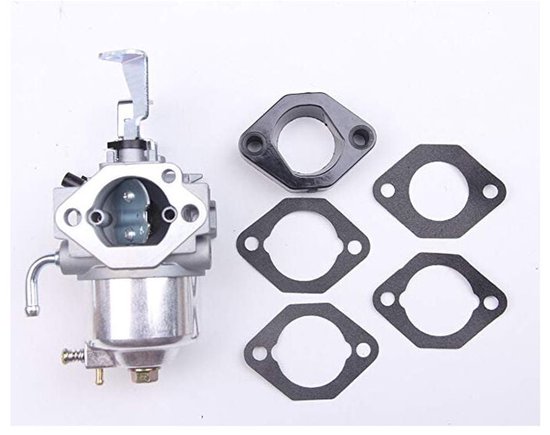Geschikt voor Briggs & Stratton Carburateur 715668 715443 715121 - Met Pakking van Merkloos	