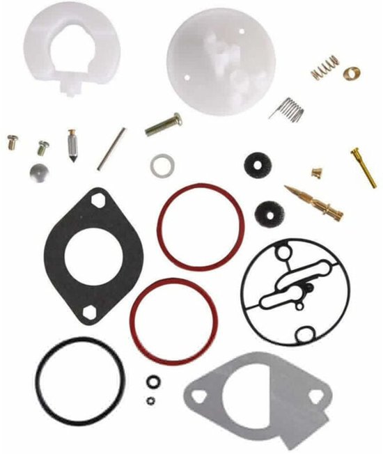 Geschikt voor Carburateur reparatieset compatibel met Briggs & Stratton 796184 698787 699900 792369 790032. van Merkloos	