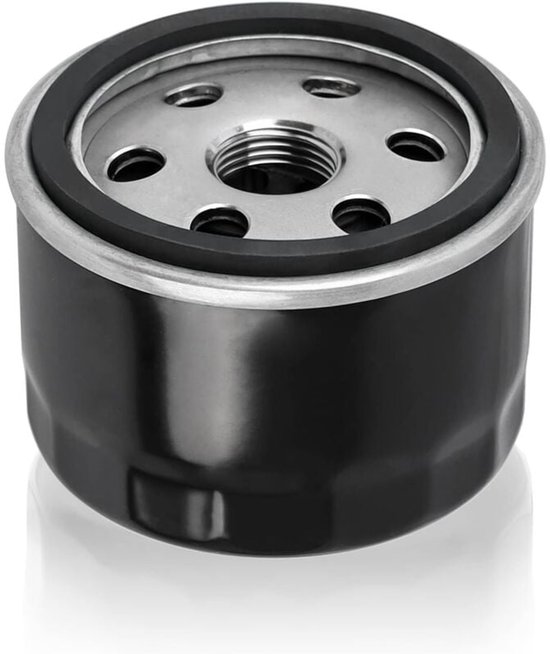 Geschikt voor Vervangend oliefilter voor Kawasaki 49065-7007 49065-7002 49065-2057 49065-2076 49065-2077 Kawasaki FR541V FR600V FR651V FR691V FR730V FS481V FS541V FS600V van HifloFiltro