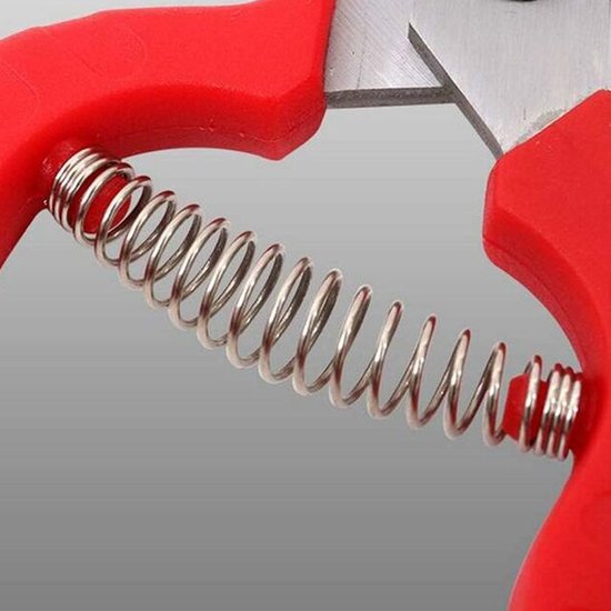 Gigicial Plantenschaar - Bonsaischaar - Slijpbare rechte en smalle bladen voor kleine ruimtes - 1 stuk - Geschikt voor kamerplanten, rood van Merkloos	