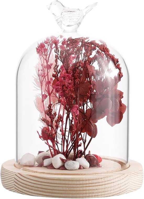 Glas Display Dome Cloche 113x144mm - Decoratieve Glazen Cloche Dome Bell Jar met Houten Basis voor Bruiloft - Thuis - Planten - Kerstfeest - Party Favor van Merkloos	