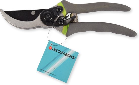 Groen & Grijs Snoeischaar | 21cm x 5.5 cm | Stevige Tuingereedschap voor Jonge Takken en Twijgen | Ergonomische Handgrepen | Speciale Coating voor Grip en Duurzaamheid | Perfect Voor Heggen en Bloemen van Merkloos	
