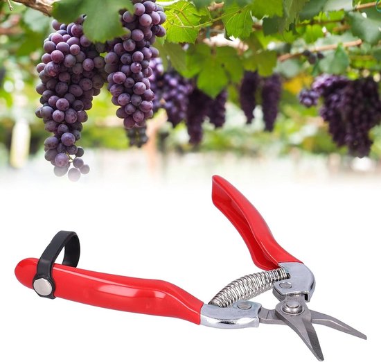 Handmatige snoeischaren voor het plukken van fruit en bloemen, ideaal voor tuinieren en het snoeien van takken