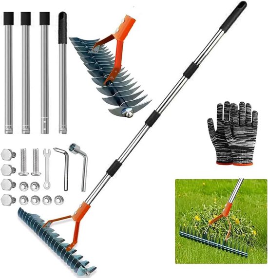 Handmatige Verticuteelhark voor Mos- en Viltverwijdering in Gazon van Merkloos	