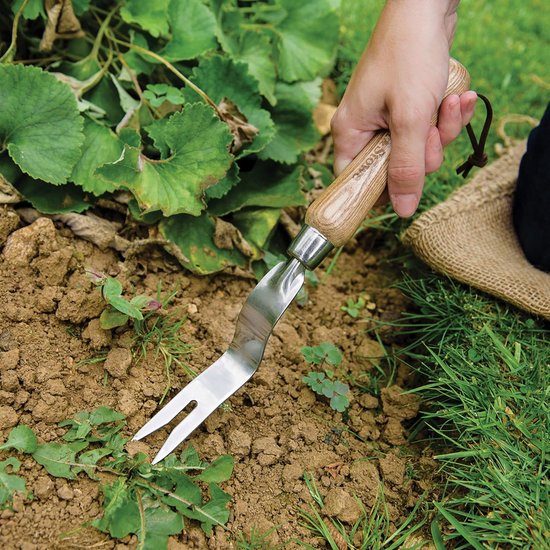 Handwortelsteker – onkruidsteker van roestvrij staal voor gras- en grondoppervlakken, onkruidverwijderaar met steel van essenhout, lengte: 30 cm van Merkloos	