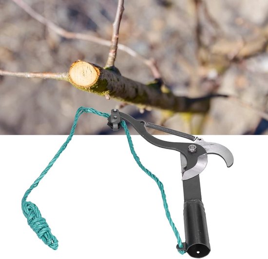 Hoge telescopische snoeischaar voor tuinieren, duurzame en scherpe tuingereedschappen voor planten en wijnstokken