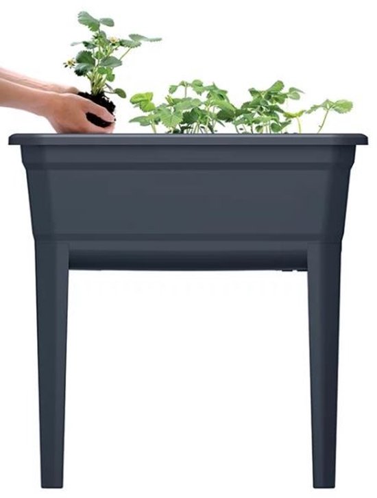 Hoge tuinman met dek voorsplaspast roest plastic ecoline in antraciet kleur 74.9 x 36,8 x 77,77 van Elho