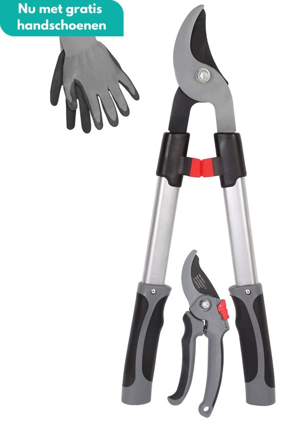 HomGar - Snoeiset 2-delig - Takkenschaar en snoeischaar - Koolstofstaal - Hoogwaardige kwaliteit - Met GRATIS handschoenen van HomGar