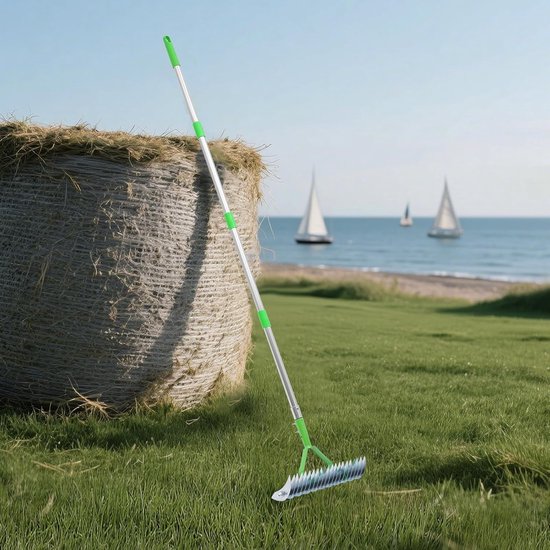 Hooihark Tuinhark - Metalen Hark - Gazon Onderhoud - 21 Gebogen Tanden - Verstelbare Lengte - Zilver Groen van Merkloos	