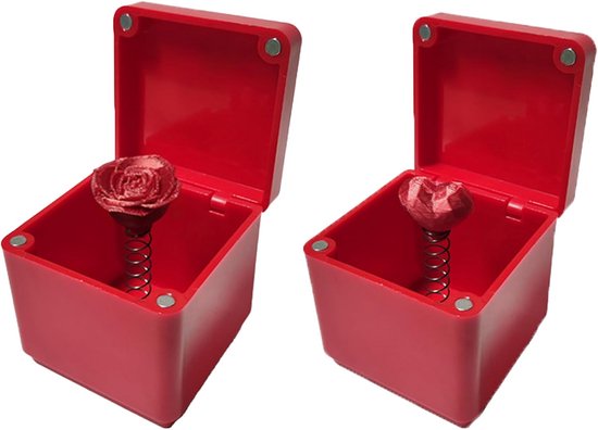 Hoshisea 2 Stuks Verrassingsgeschenkdoos, Liefdescadeau Verrassingsdoos, Verrassende Creatieve Geschenkdoos, Geschikt als Valentijnsdagcadeau, Verjaardagscadeau, voor Geliefden, Familie van Merkloos	