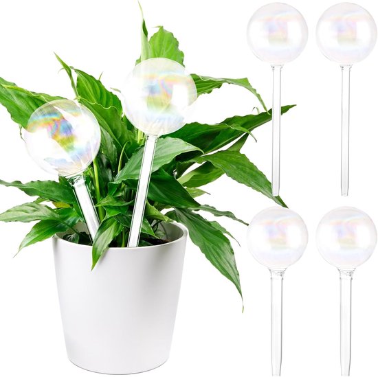 Irrigation Balls Set of 6 Transparent Watering Balls - Glass Water Dispenser for Indoor and Outdoor Plants - Watering Balls voor Planten van Merkloos	