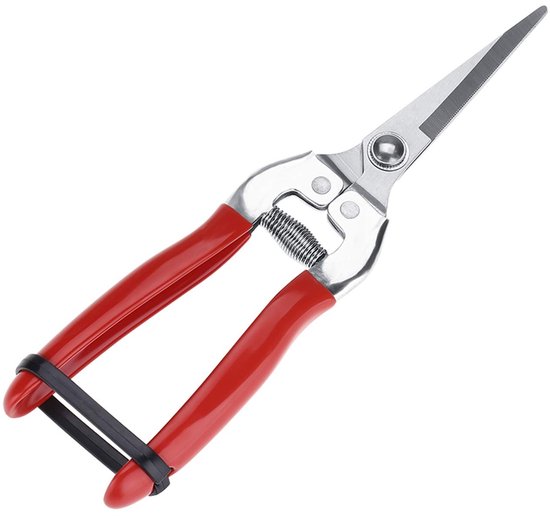 JHUBERS- Snoeischaar Stevig - Roestvrij Staal - Tuinieren - Bloemenschaar - Handgereedschap - 20 cm Lengte - Tuinschaar