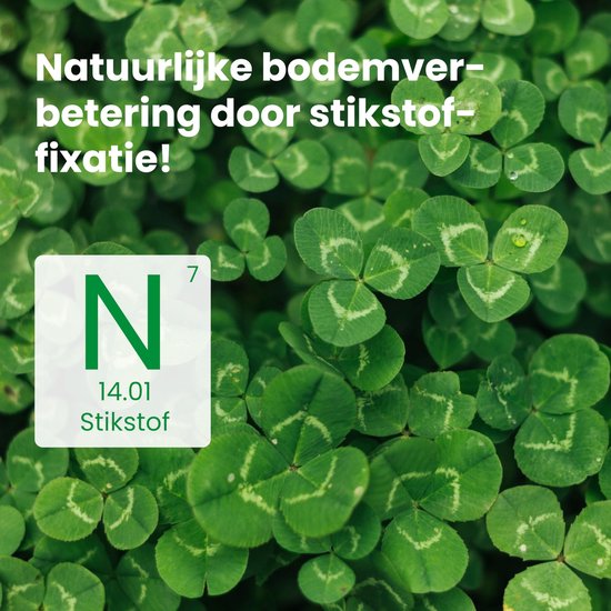 Klaverzaden 225 m² - Microklaver voor schaduw en zon - Verbeterde bodemkwaliteit - Ideaal voor onderhoudsarm gazon - ShopVlot